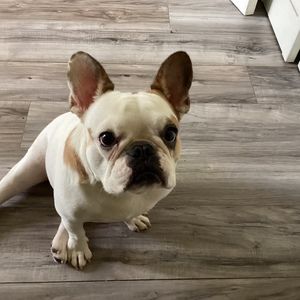 Meet your Posher, Patricia